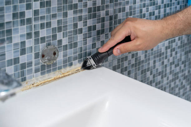 Best Mold Remediation  in New Philadelphia, OH